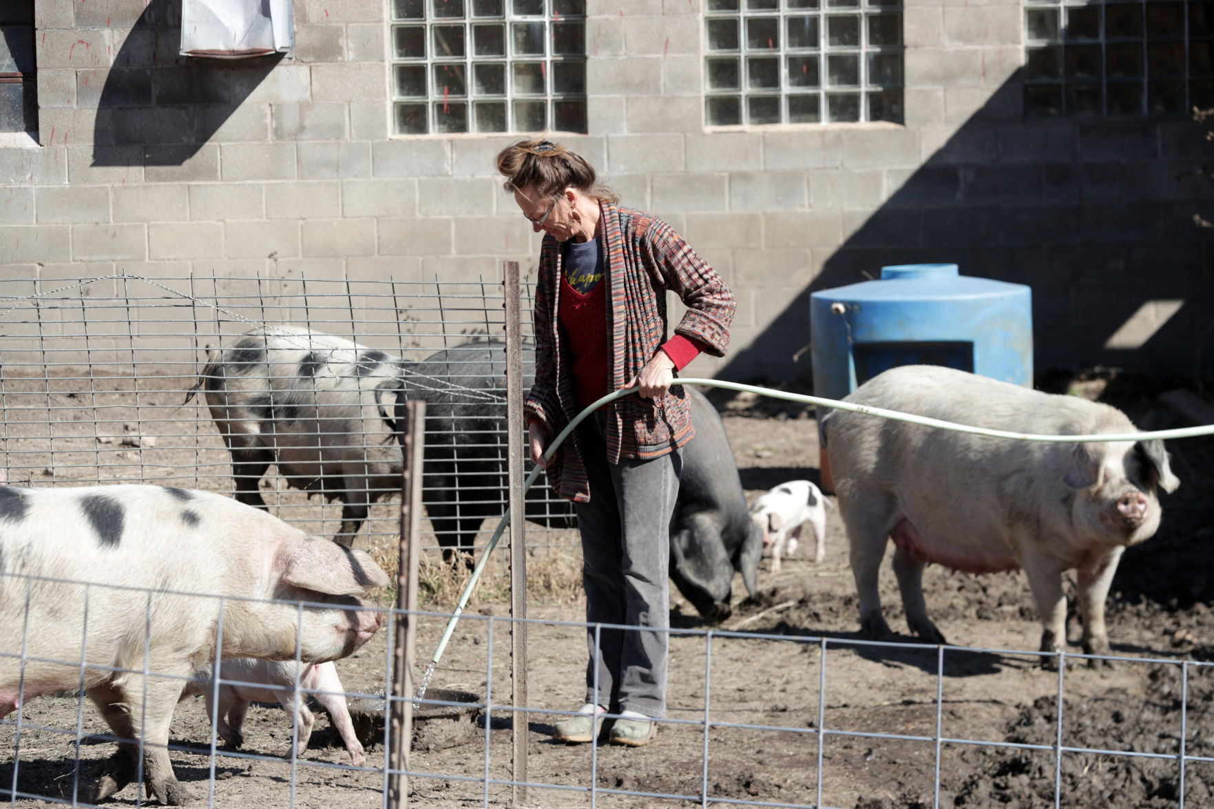 06PigFarm0030AJA-10162020114755